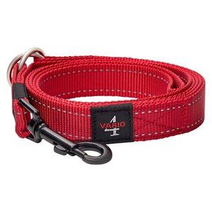 BIG DOG LEAD